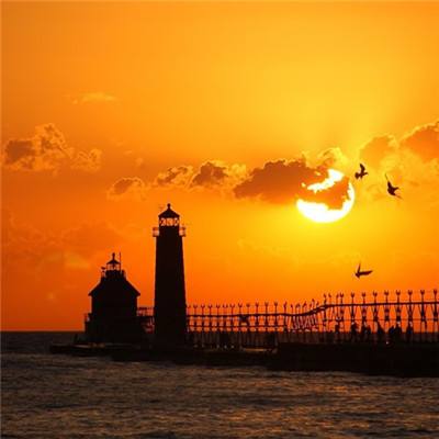 加拿大28下载手机版