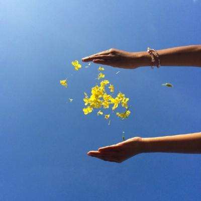 澳门新莆京游戏