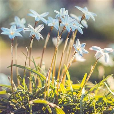 爱游戏·体育APP