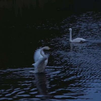 皇冠welcome娱乐登录入口截图