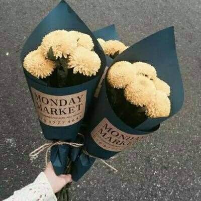 完美365体育ios下载