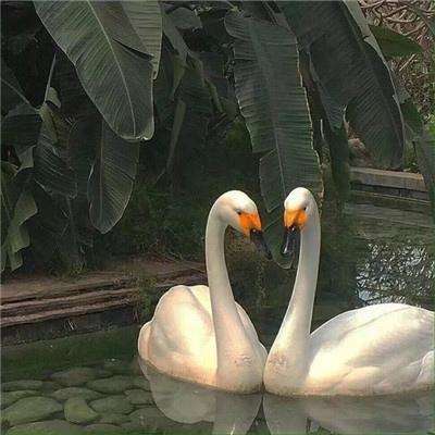 500彩票welcome登录截图