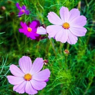 凯时ag登录入口